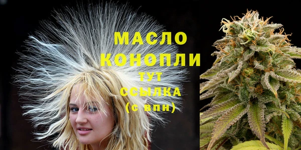 2c-b Каменка