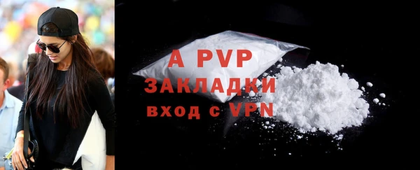 2c-b Каменка