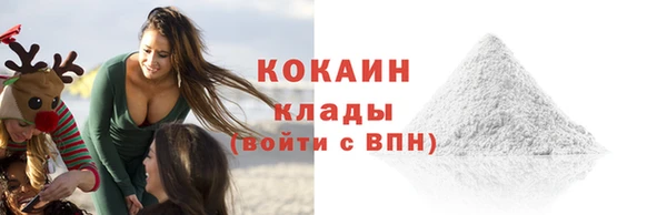 2c-b Каменка