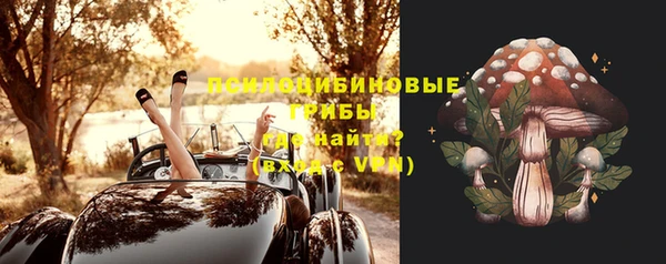 2c-b Каменка