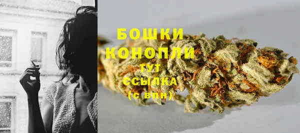 2c-b Каменка